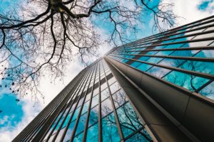 Bâtiment contemporain avec ciel bleu et arbre hivernal